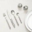 CUTLERY 24pc SET wound up - Carrol Boyes