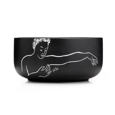 Within Reach SALAD BOWL - Carrol Boyes